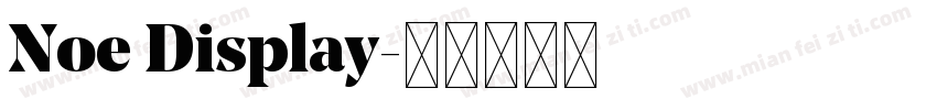 Noe Display字体转换